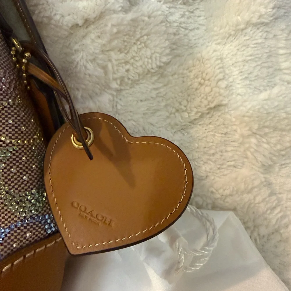 Coach Rainbow Candy Crystal Hamptons Hobo Bag - Picture 7 of 16